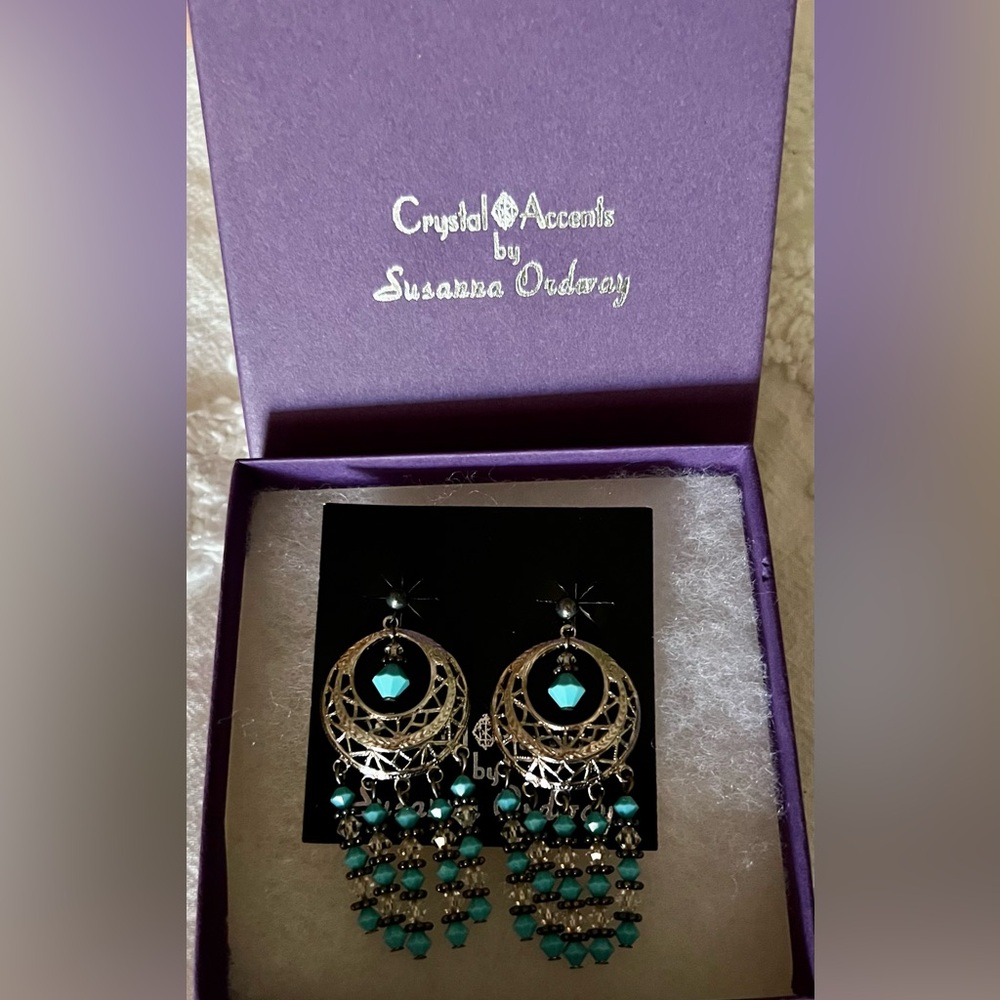 Beautiful Earrings by Susanna Ordway